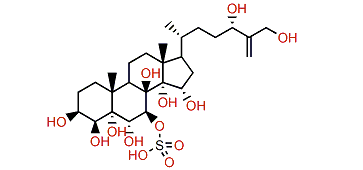 Cholest-25(27)-en-3b,4b,5a,6a,7b,8b,14a,15a,24,26-decanol 6-sulfate